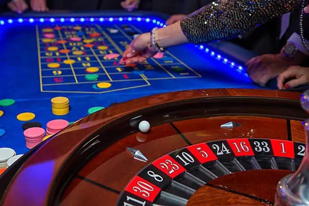 bingo ao vivo